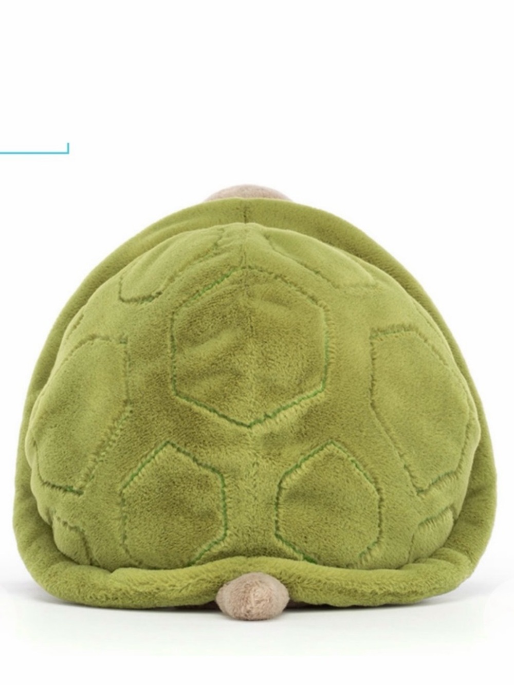 Timmy Turtle Jellycat NTW medium - Picture 2 of 3